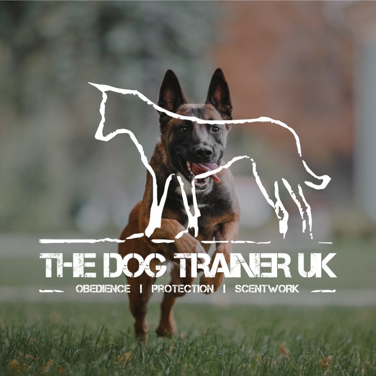 1Hour Personal Protection Session The Dog Trainer UK Protection