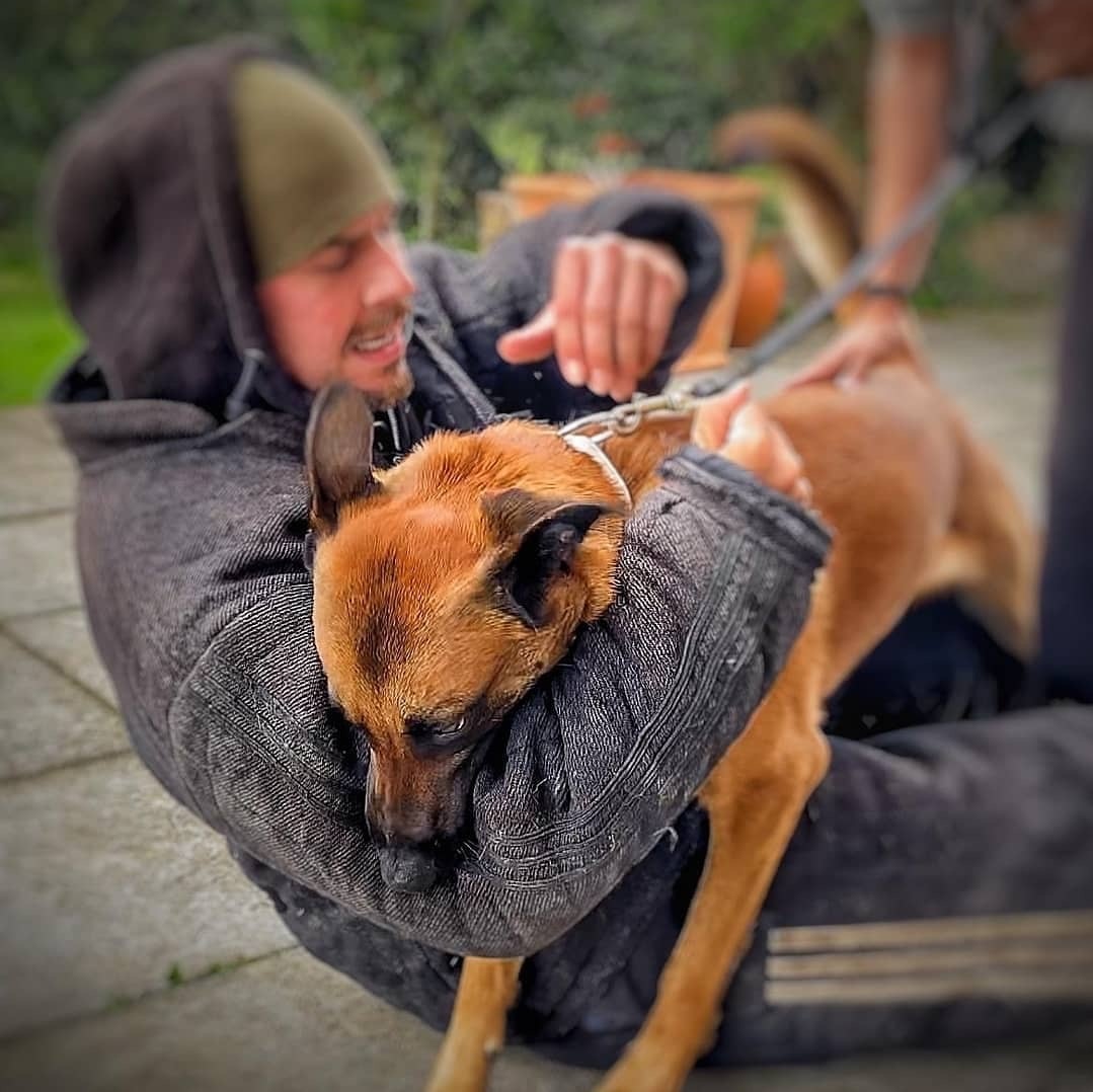 THE IMPORTANCE OF CHOOSING THE RIGHT PERSONAL PROTECTION DOG TRAINER